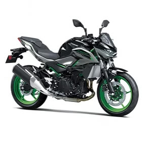 Z500 SE